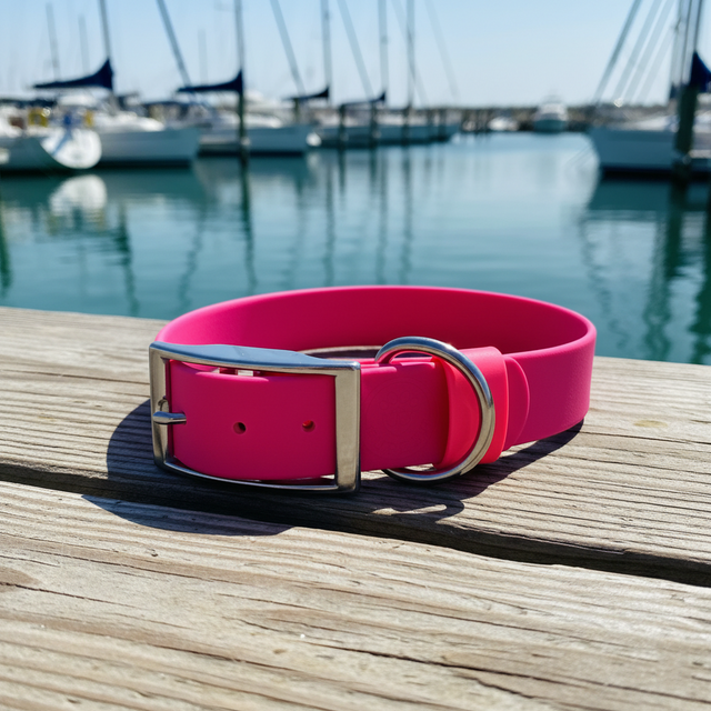 Set: Collar & Hands-Free Leash | Pink - Explorer