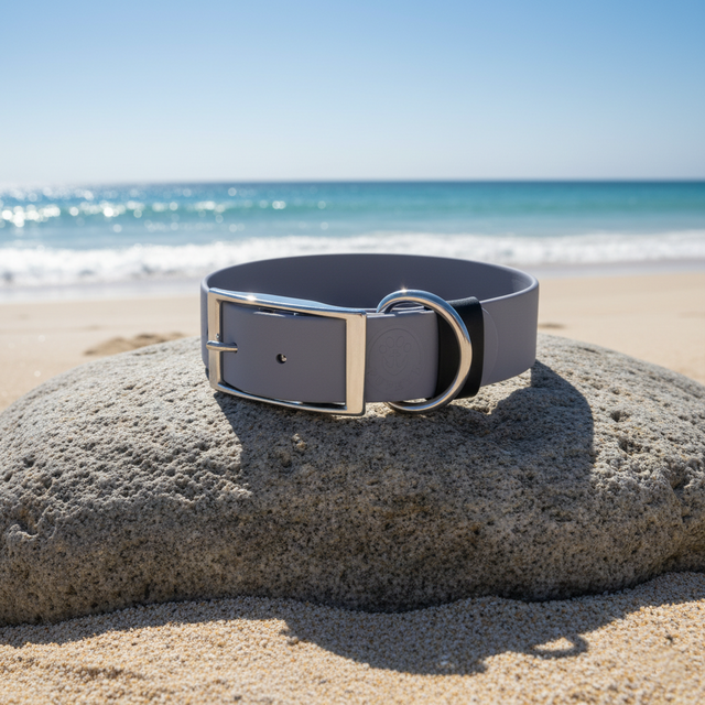 Waterproof Collar | Gray - Pirate