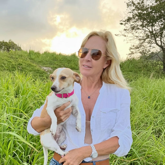 Palmas Animal Welfare: 100% Volunteers, 100% Heart - Saving Strays and Completing Families