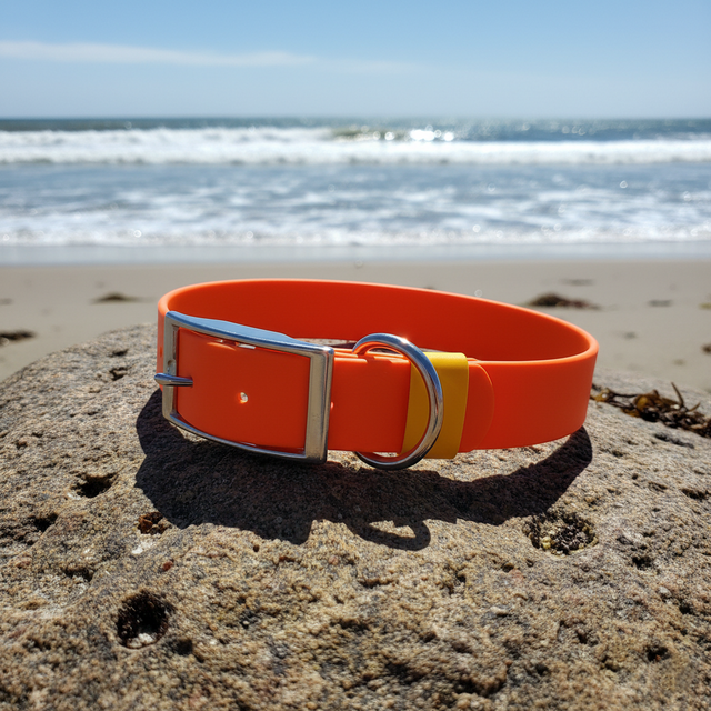 Waterproof Collar | Orange - Explorer
