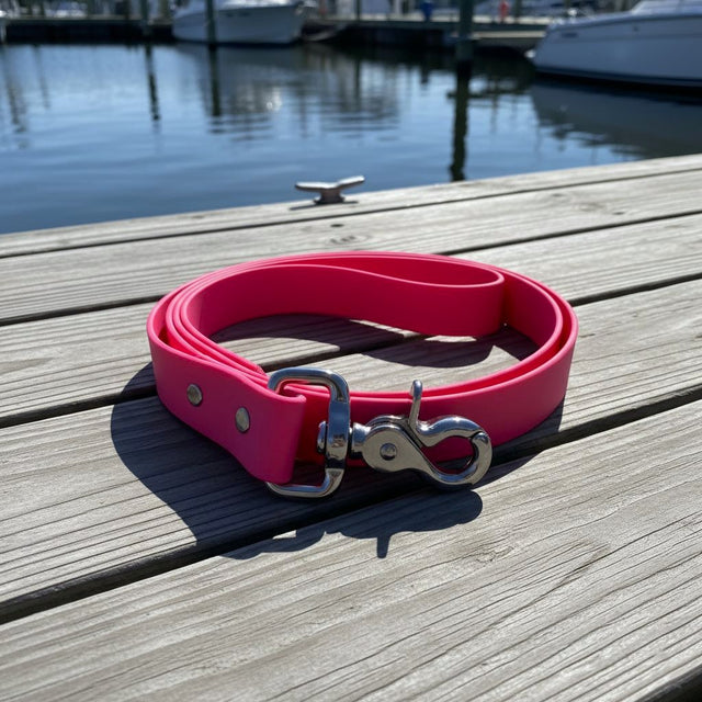 Classic Leash | Pink - Explorer