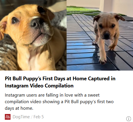 Preview image for linked article