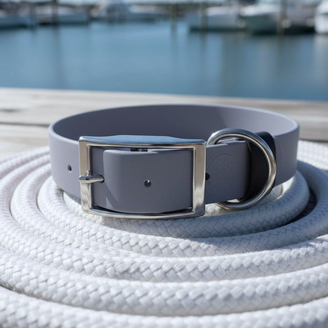 Waterproof Collar | Gray - Pirate