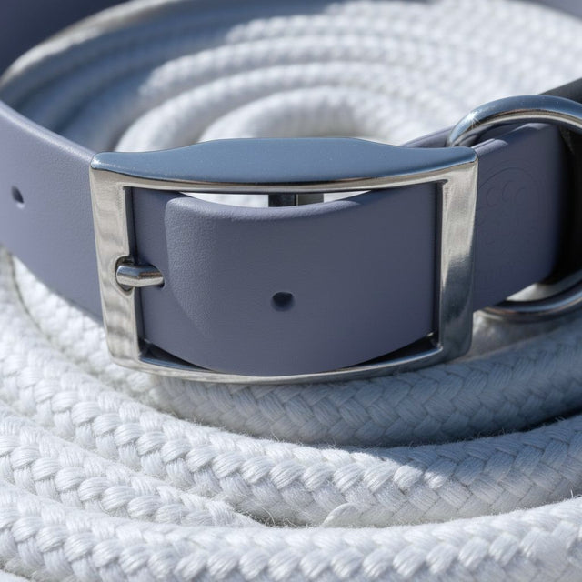 Waterproof Collar | Gray - Pirate