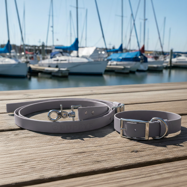 Set: Collar & Hands-Free Leash | Gray - Pirate