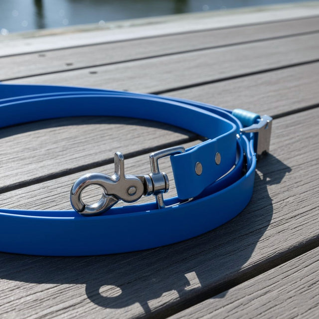 Hands-Free Leash | Blue - Captain