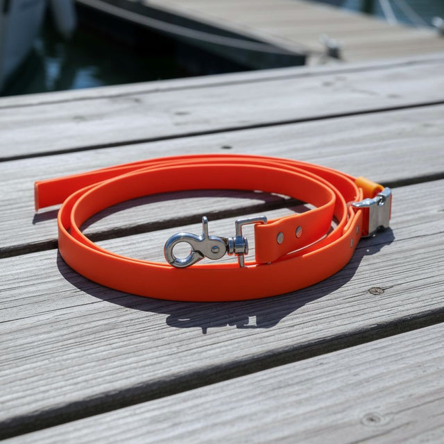 Hands-Free Leash | Orange - Explorer