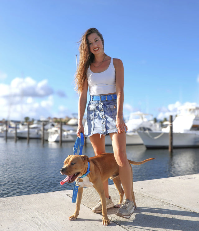 Unisex Belt | Orange - Explorer