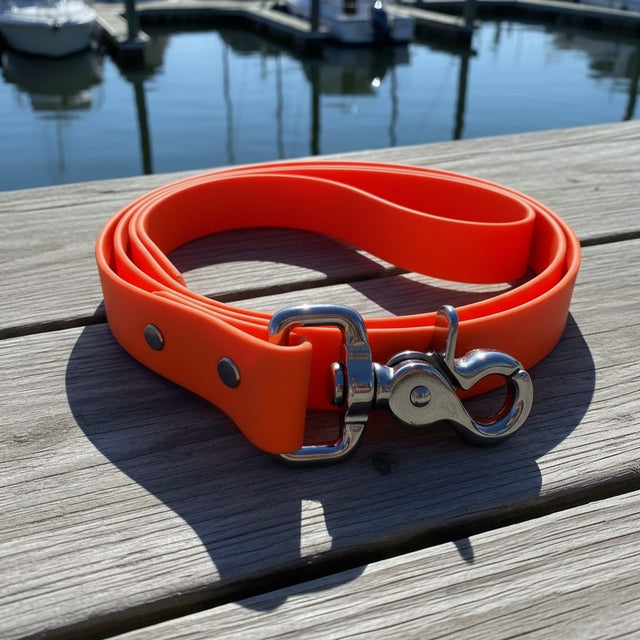 Classic Leash | Orange - Explorer