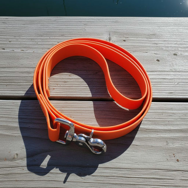 Classic Leash | Orange - Explorer