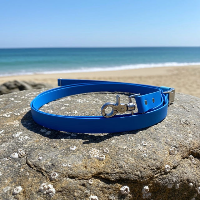 Hands-Free Leash | Blue - Captain