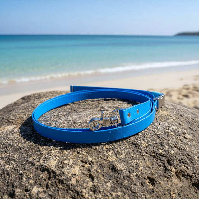 Hands-Free Leash | Blue - Captain