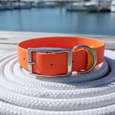 Waterproof Collar | Orange - Explorer