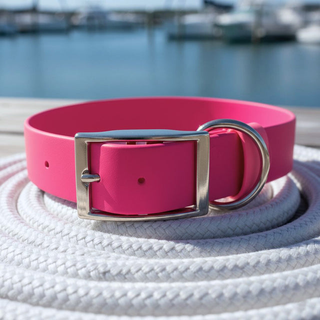 Waterproof Collar | Pink - Explorer
