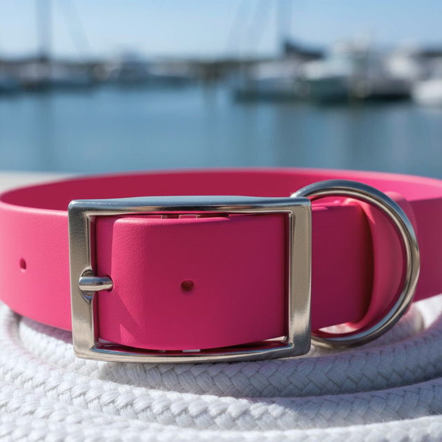 Waterproof Collar | Pink - Explorer