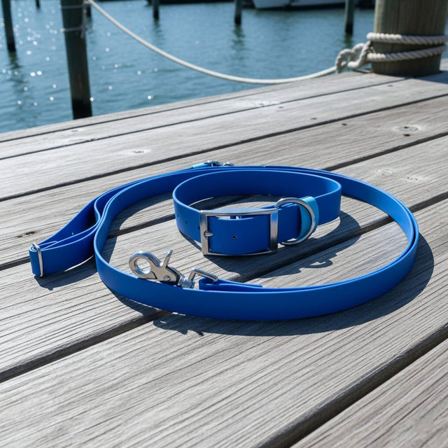 Set: Collar & Hands-Free Leash | Blue - Captain