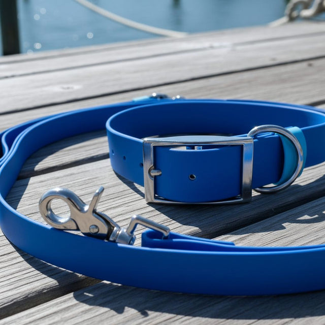 Set: Collar & Hands-Free Leash | Blue - Captain