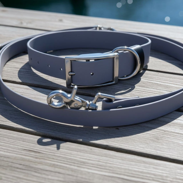 Set: Collar & Hands-Free Leash | Gray - Pirate