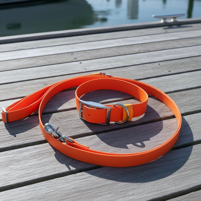 Set: Collar & Hands-Free Leash | Orange - Explorer