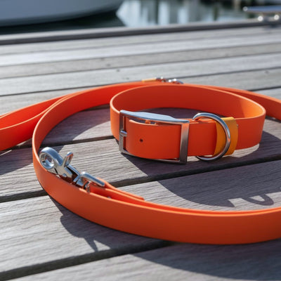 Set: Collar & Hands-Free Leash | Orange - Explorer