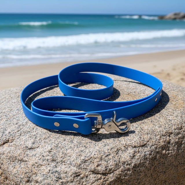 Classic Leash | Blue - Captain