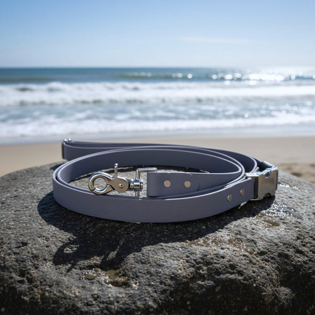 Hands-Free Leash | Gray - Pirate