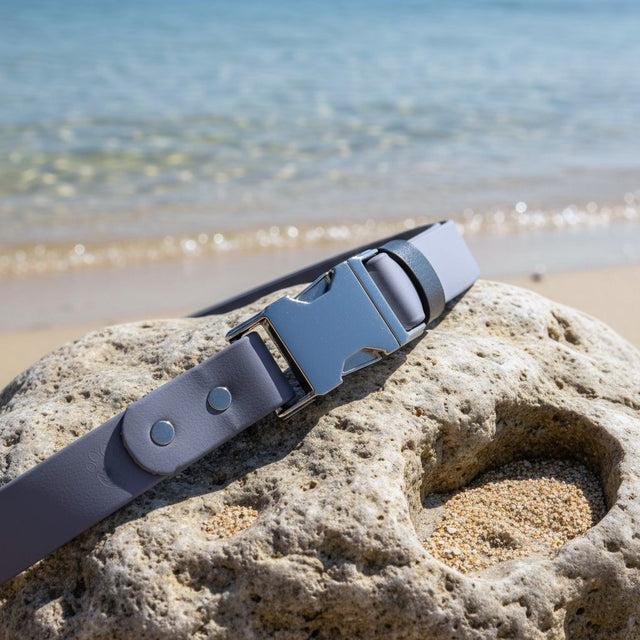 Hands-Free Leash | Gray - Pirate