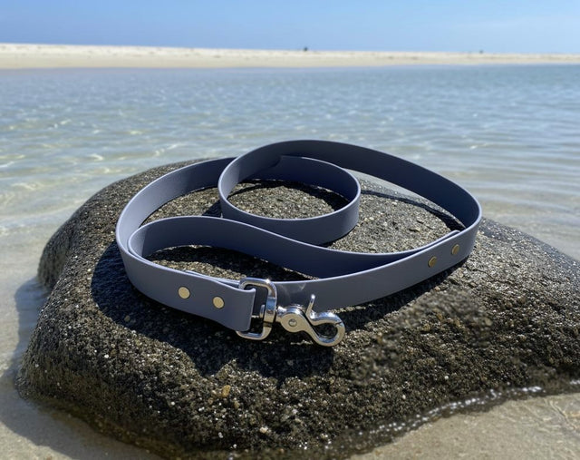 Classic Leash | Gray - Pirate