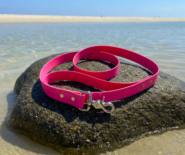 Classic Leash | Pink - Explorer