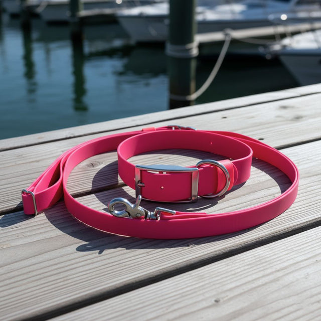 Set: Collar & Hands-Free Leash | Pink - Explorer
